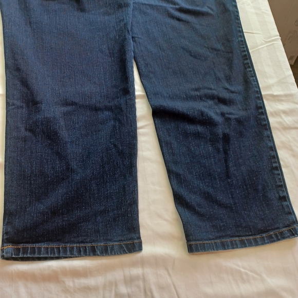 Gloria Vanderbilt Amanda Jean 22w - Picture 3 of 15